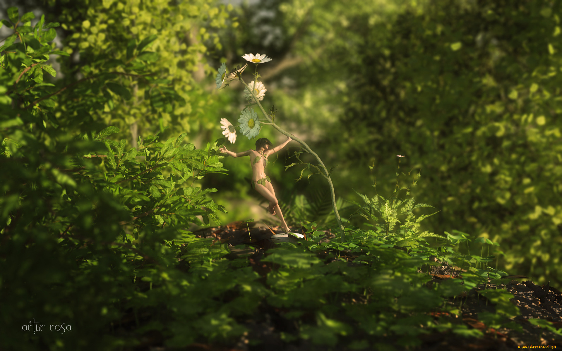 3 ,  , elves, , , 